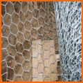 Anping supply wire mesh fence/Hexagonal wire mesh(lowest price)